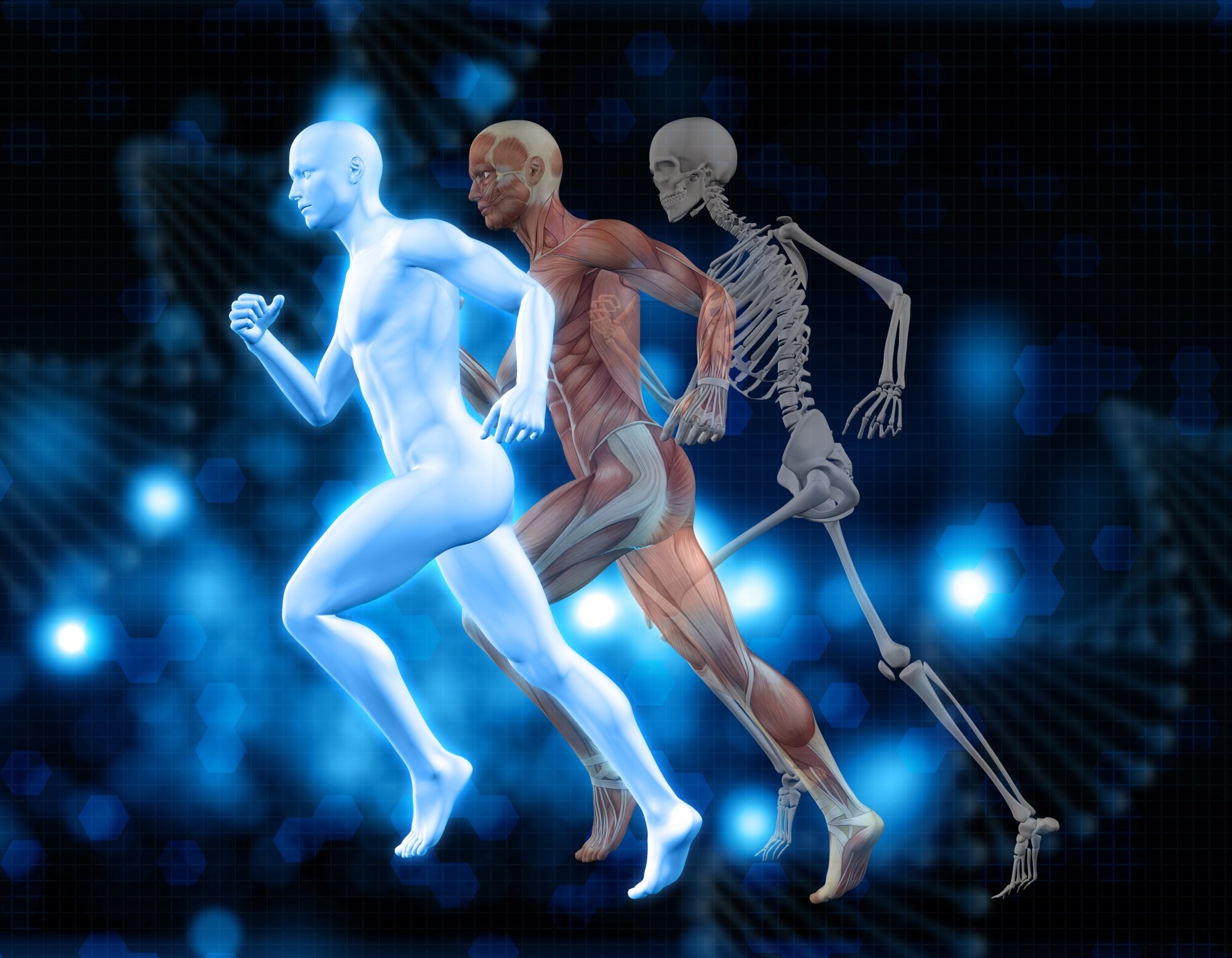 Movimiento biomecánico